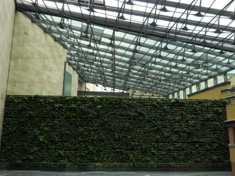 Capitol jak marzenie (Zobacz zdjęcia) - 20