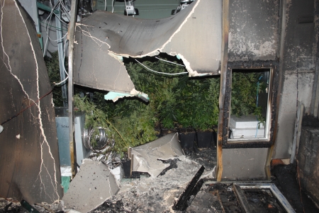 Chcieli spalić kilogramy narkotyków - 2
