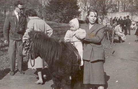 Wrocławskie Zoo kończy 65 lat  - 1