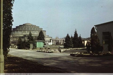 Wrocławskie Zoo kończy 65 lat  - 2