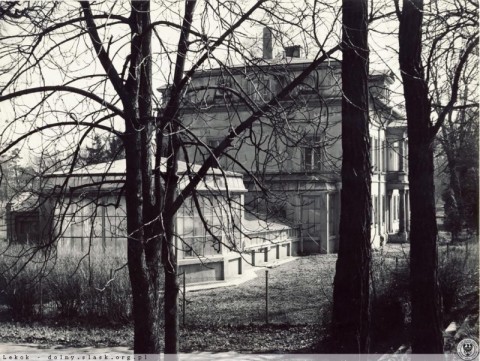 Wrocławskie Zoo kończy 65 lat  - 3