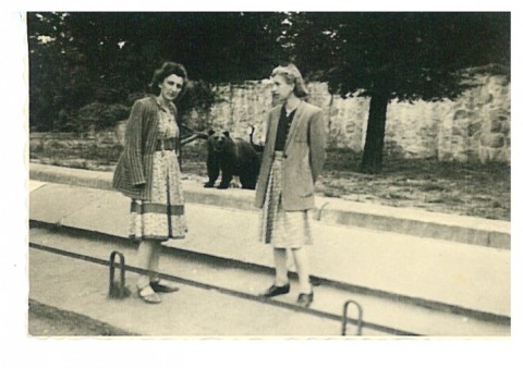 Wrocławskie Zoo kończy 65 lat  - 6