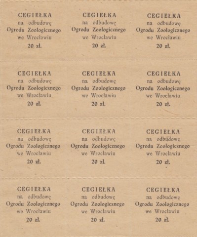 Wrocławskie Zoo kończy 65 lat  - 8