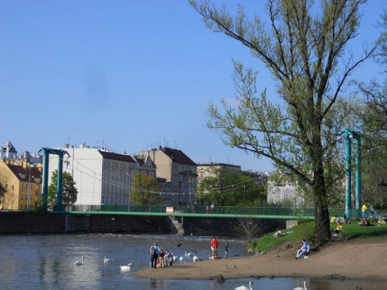 Studenci: Uwolnić Wyspę Słodową! - fot. prw.pl