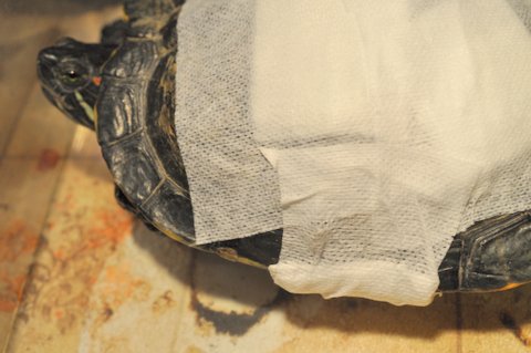 Ma 25 lat i przeżyła ciężki wypadek –
