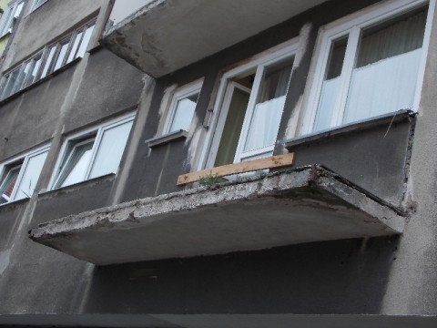 Horror w centrum miasta (Zobacz) - 2