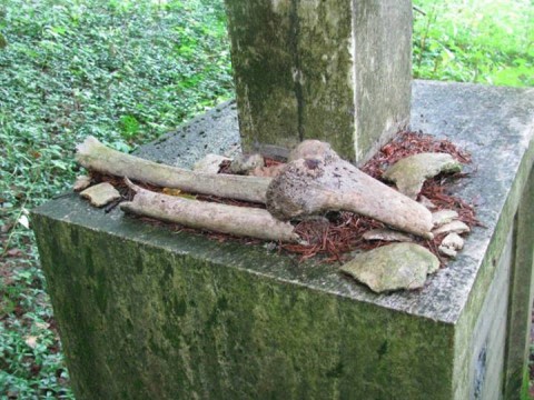Szokujące odkrycie w Janowej Górze - 1