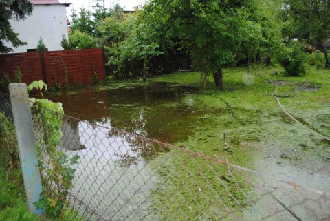Boisko źródłem problemów - 3