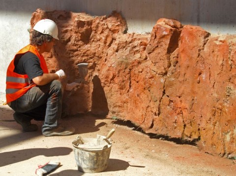 Afrykarium rośnie w oczach (FOTO) - 10