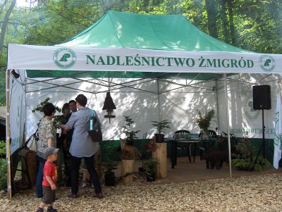 Smoki w Żmigrodzie (Zobacz zdjęcia) - 21
