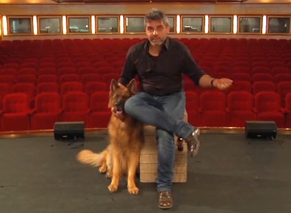 Dog Fun Fest w parku - fot. YouTube