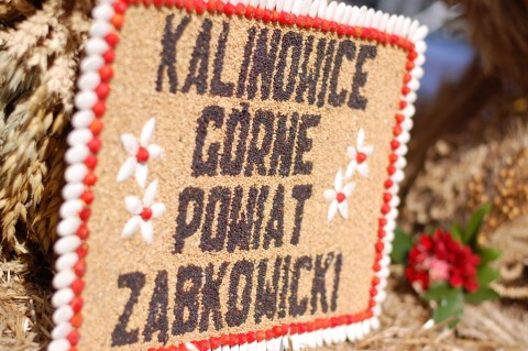 DRJ: Dożynki w Juszczynie - 8