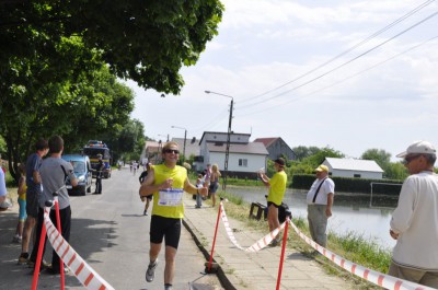Oława opanowana przez koguty (Zobacz) - 2