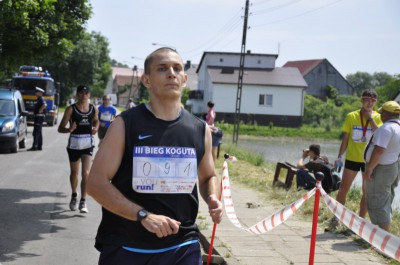 Oława opanowana przez koguty (Zobacz) - 6