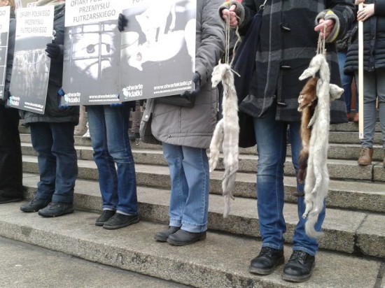 Walki z fermą ciąg dalszy - Fot. archiwum prw.pl