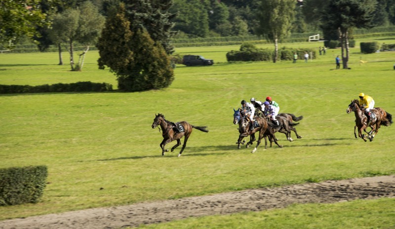 Hitowe wyścigi na Partynicach - 19