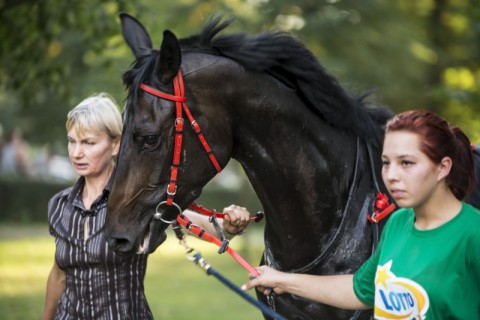Hitowe wyścigi na Partynicach - 21