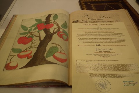 DRJ: Moda na książkę - 1