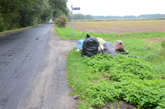 Dzikie wysypiska przy drogach (Zdjęcia) - 5