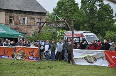 Konie, jeźdźcy i hodowcy w Siedlcu Trzebnickim (Zdjęcia) - 5