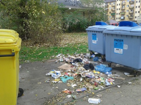 "Śmietnik marzeń". I co z tego? - 4