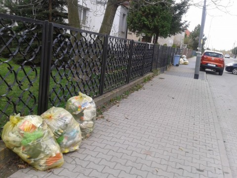 Krzyki utonęły w plastiku (Zdjęcia) - 0