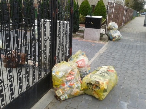 Krzyki utonęły w plastiku (Zdjęcia) - 1