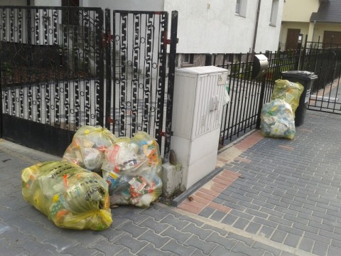 Krzyki utonęły w plastiku (Zdjęcia) - 2