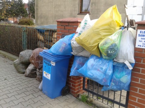 Krzyki utonęły w plastiku (Zdjęcia) - 3