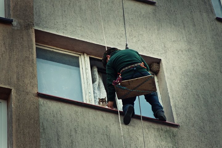 Szokujące odkrycie w Żarowie - 12