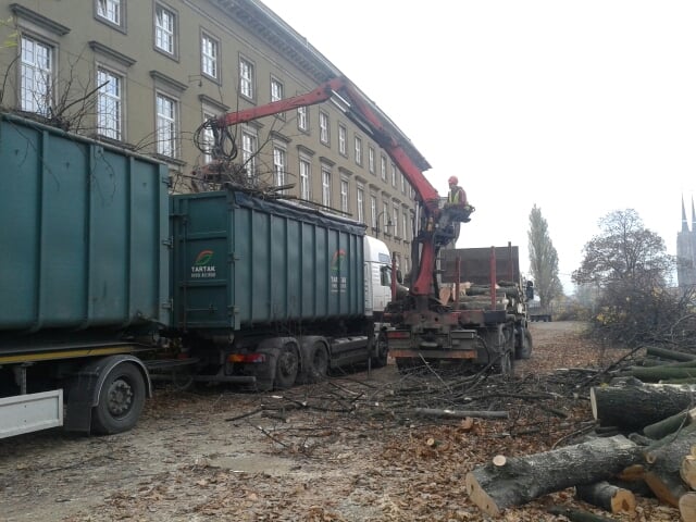 Bulwar Kaczyńskich bez drzew (Zobacz) - 0