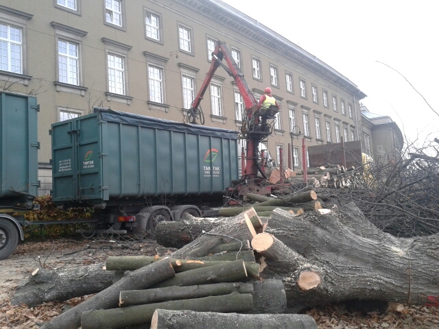 Bulwar Kaczyńskich bez drzew (Zobacz) - 3
