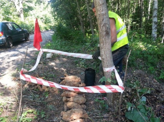 Bomba ekologiczna już nie tyka - fot. archiwum prw.pl