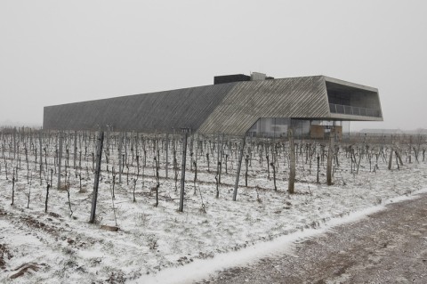 Architektura i wino w Europie Środkowej  - 10