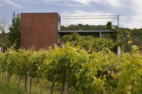 Architektura i wino w Europie Środkowej  - 13