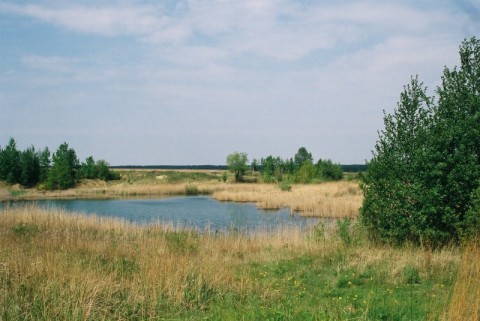 Szokująca zmiana krajobrazu (Foto) - 15