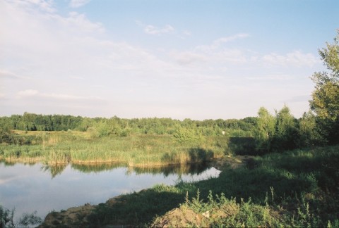 Szokująca zmiana krajobrazu (Foto) - 16