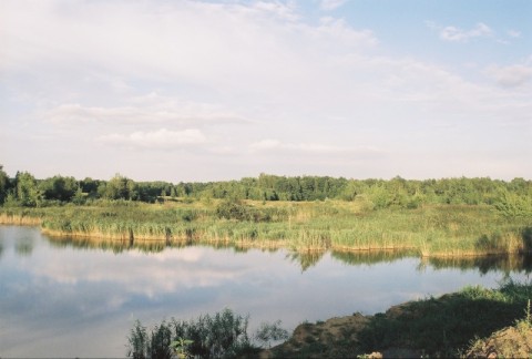 Szokująca zmiana krajobrazu (Foto) - 17