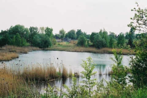Szokująca zmiana krajobrazu (Foto) - 18