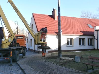Bociek z blokowiska (Galeria zdjęć) - 4