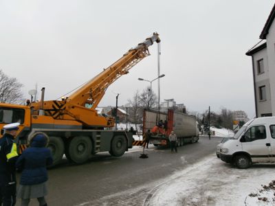 Bociek z blokowiska (Galeria zdjęć) - 2