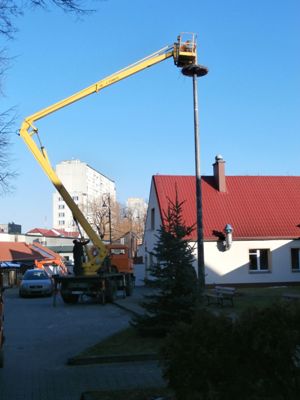 Bociek z blokowiska (Galeria zdjęć) - 5