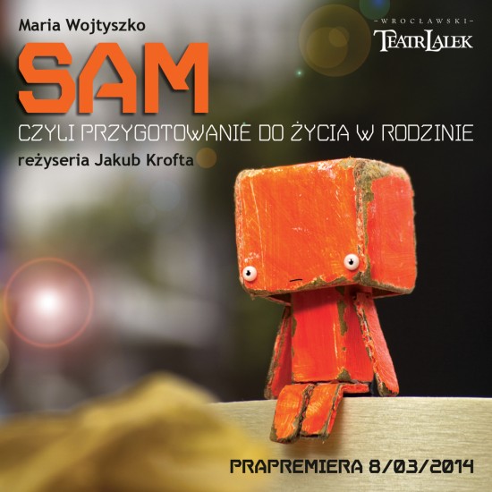 SAM, czyli przygotowanie do życia w rodzinie - 