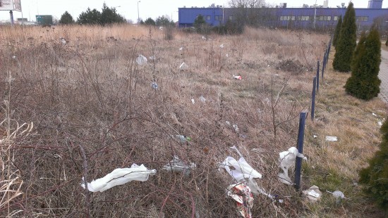 Mała folia, wielki problem. Zakazać? - fot. prw.pl