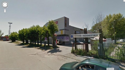 Kto okaleczył zdrowe drzewa? - 2