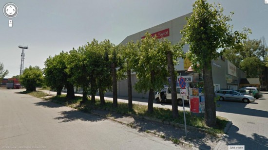 Kto okaleczył zdrowe drzewa? – drzewa przed wycinką, fot. Google