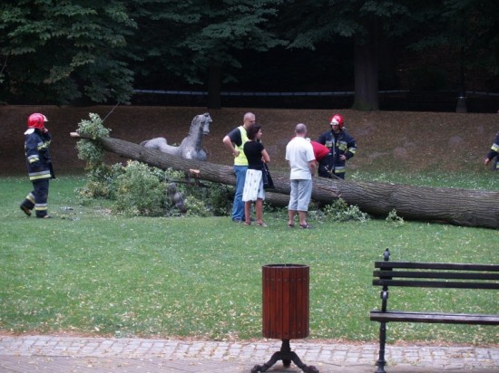 Zarzuty w sprawie tragicznej śmieci - fot. archiwum prw.pl