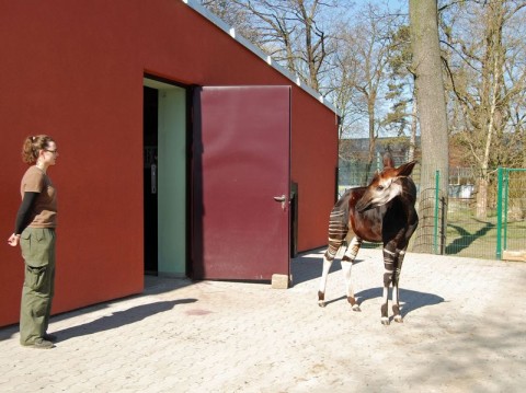 Wiosna w ogrodzie zoologicznym - 1