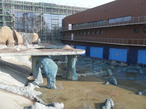 Afrykarium jak na drożdżach (Zobacz) - 8