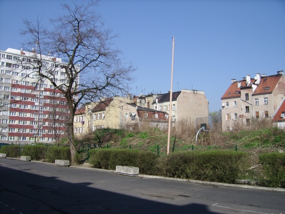 Dżungla? Nie to boisko dla dzieci! - 9